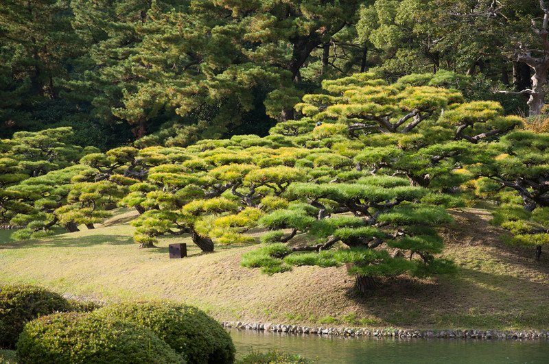 20111120-DSC_0159-L.jpg