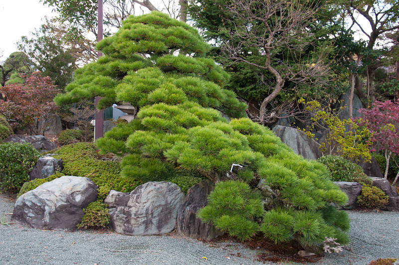 20111121-DSC_0264-L.jpg