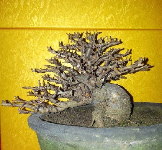 12011507-1.jpg