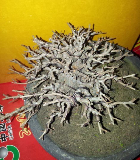 12011507-2.jpg