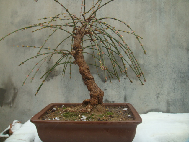 DSC02474.JPG