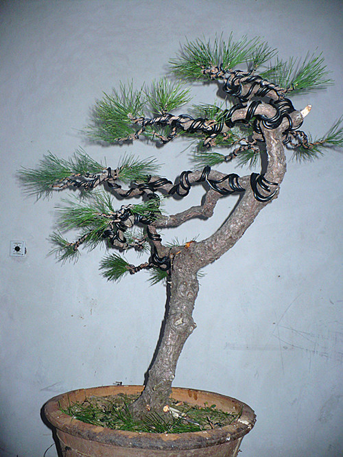 P1040080_.jpg