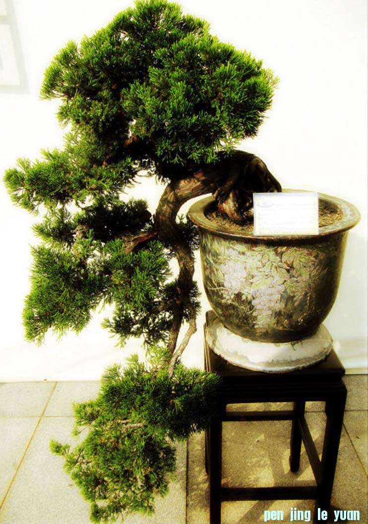 --Բ ڷ.jpg