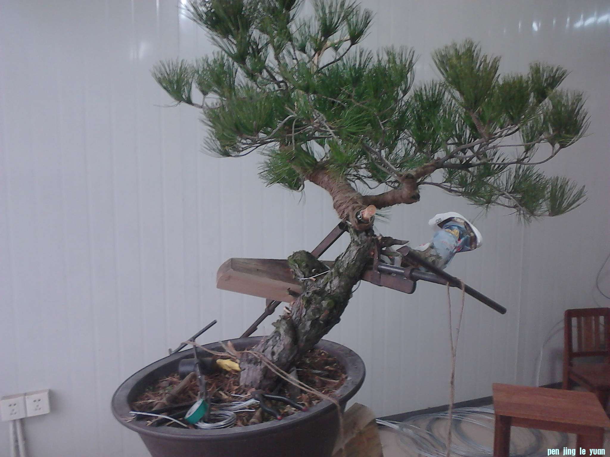 IMG00286.jpg