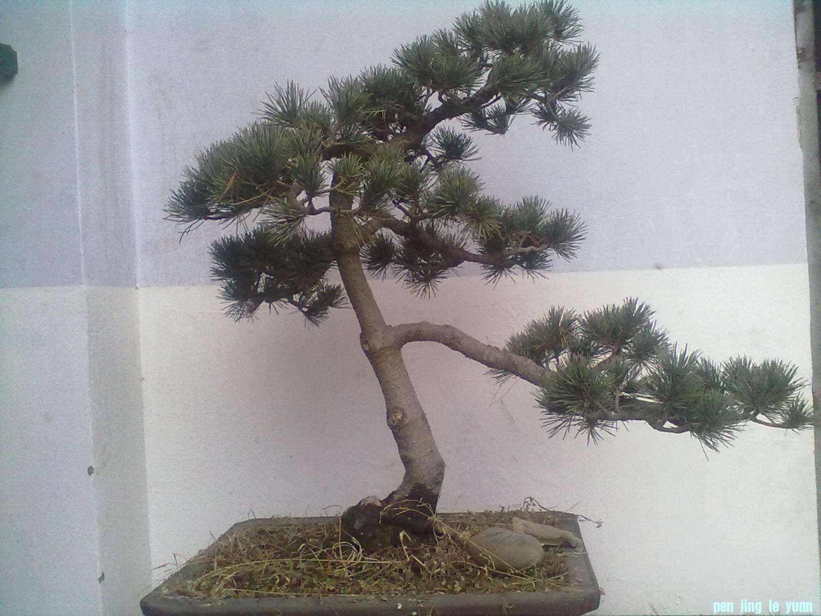 20130122239.jpg