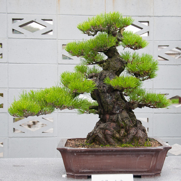 20111119-DSC_0365-L.jpg