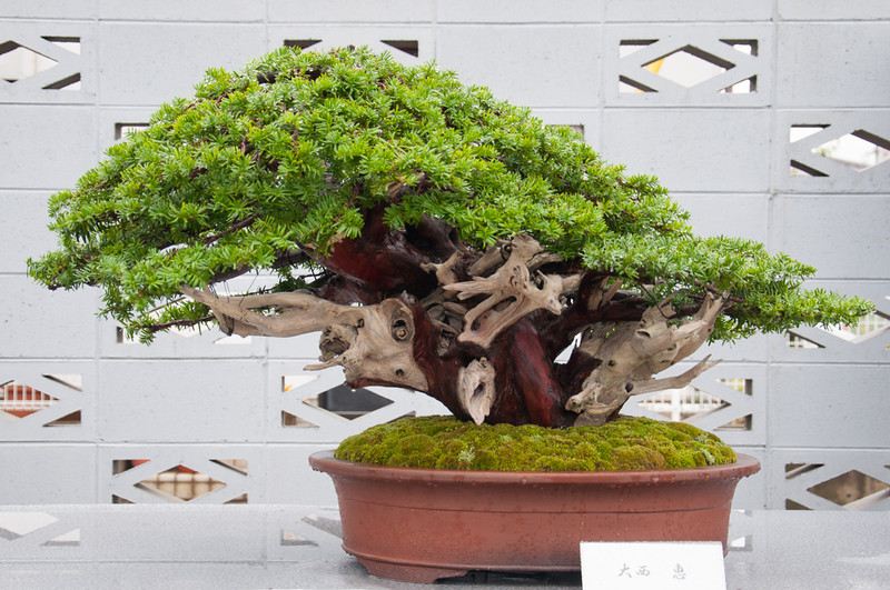 20111119-DSC_0369-L.jpg