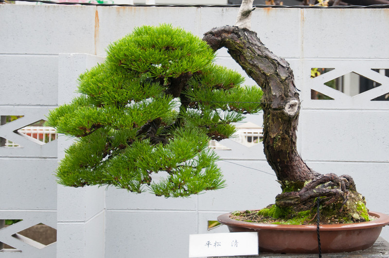 20111119-DSC_0374-L.jpg