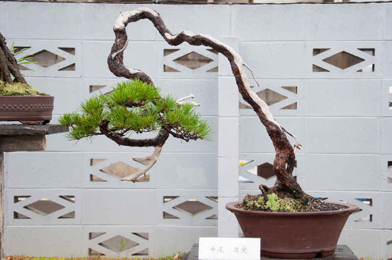 20111119-DSC_0381-L.jpg