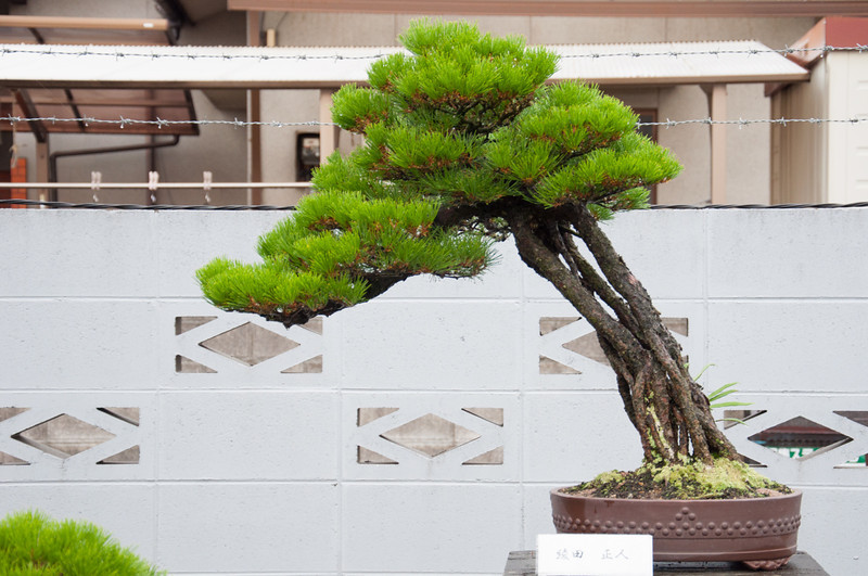 20111119-DSC_0382-L.jpg