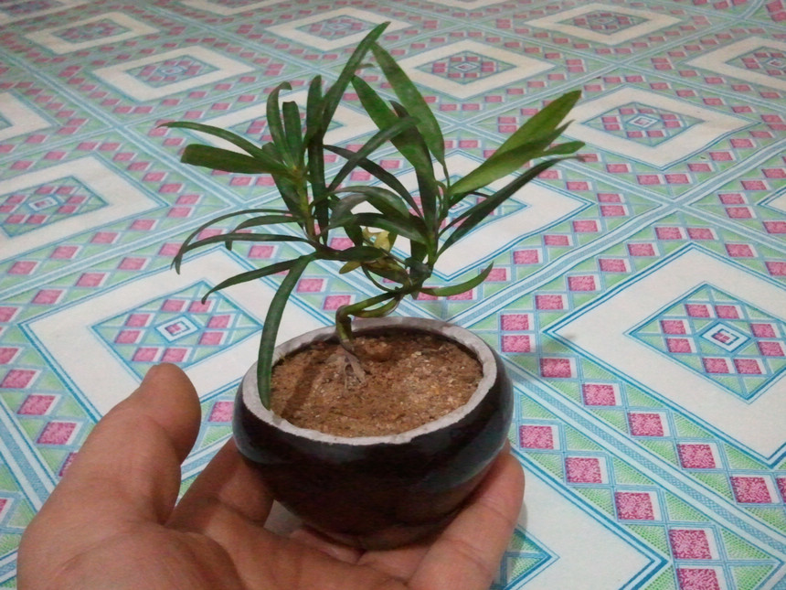 2012-12-27 19.23.58.jpg