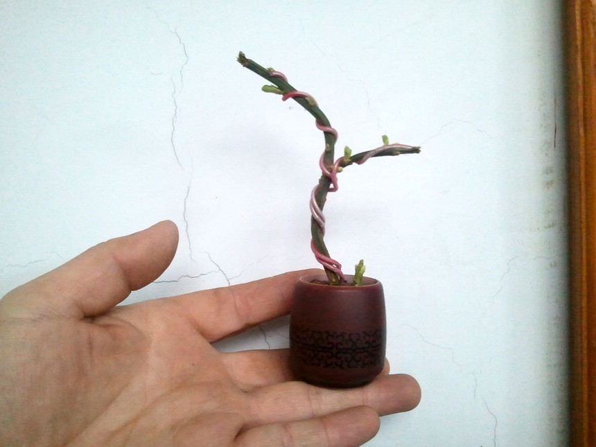 2013-01-18 10.59.29.jpg