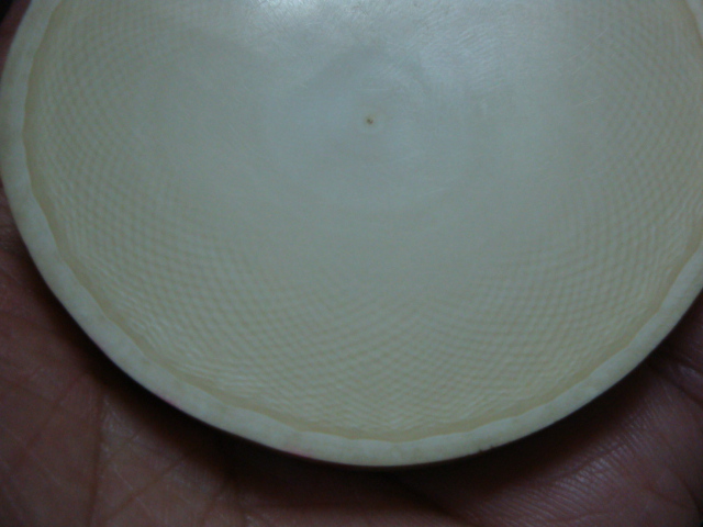 DSC01264.JPG
