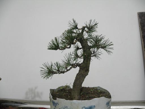 P1242436.JPG