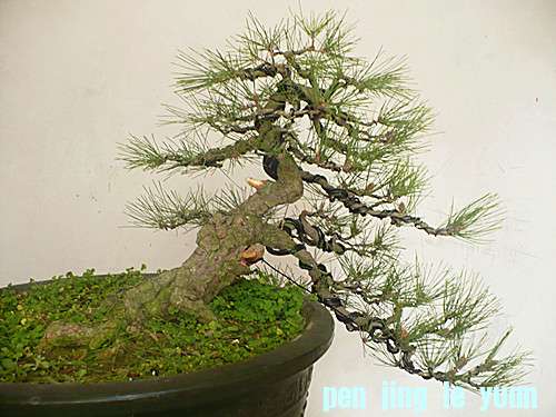 P1040073_.jpg