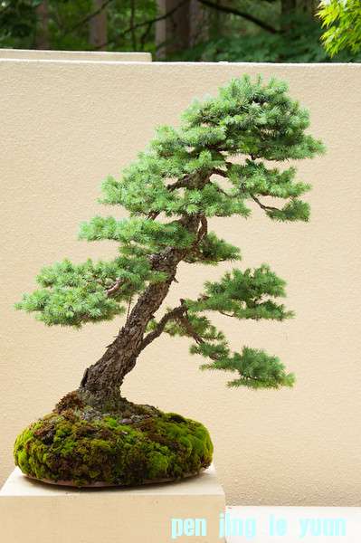 20120715-172-Seattle-L.jpg