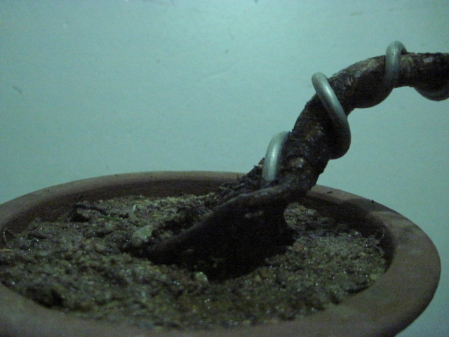 2013-1-26 002.jpg