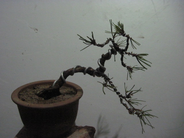 2013-1-26 004.jpg