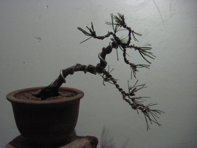 2013-1-26 005.jpg