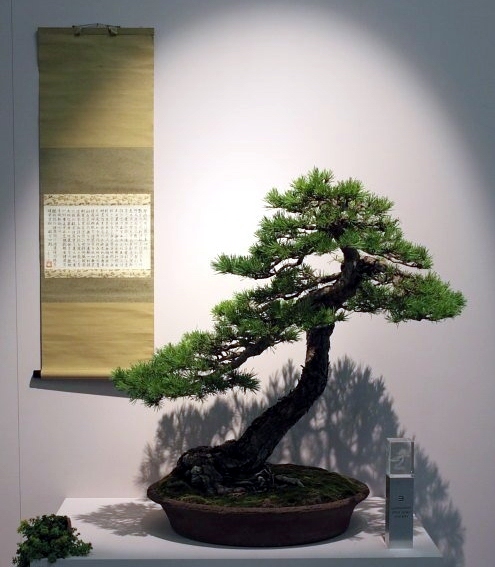 EBA Zurich 2010 055.jpg