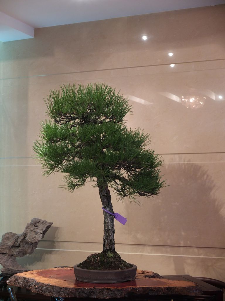 DSCF7226.jpg