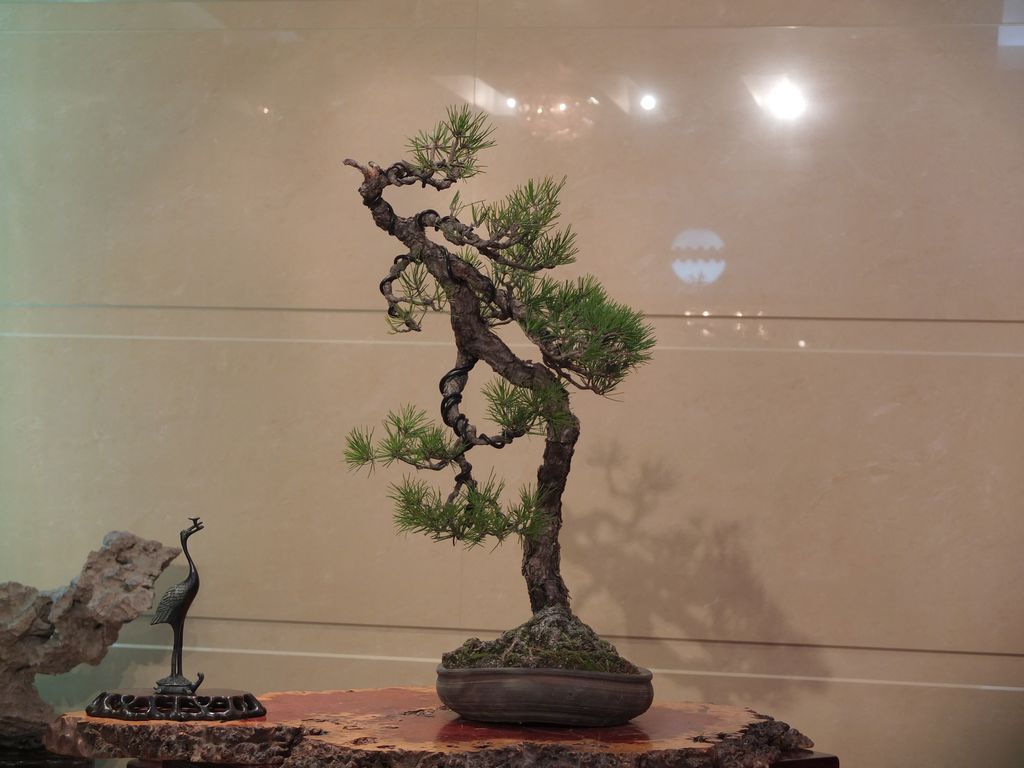 DSCF9164.jpg