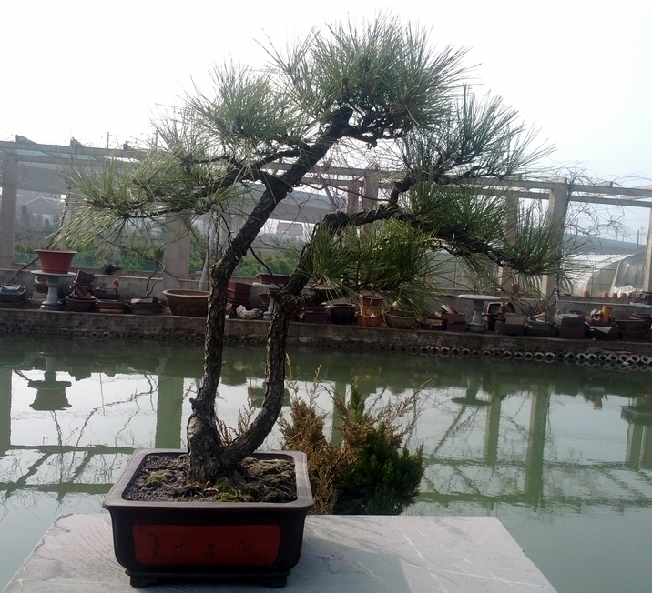 IMG_20130123_103626.jpg