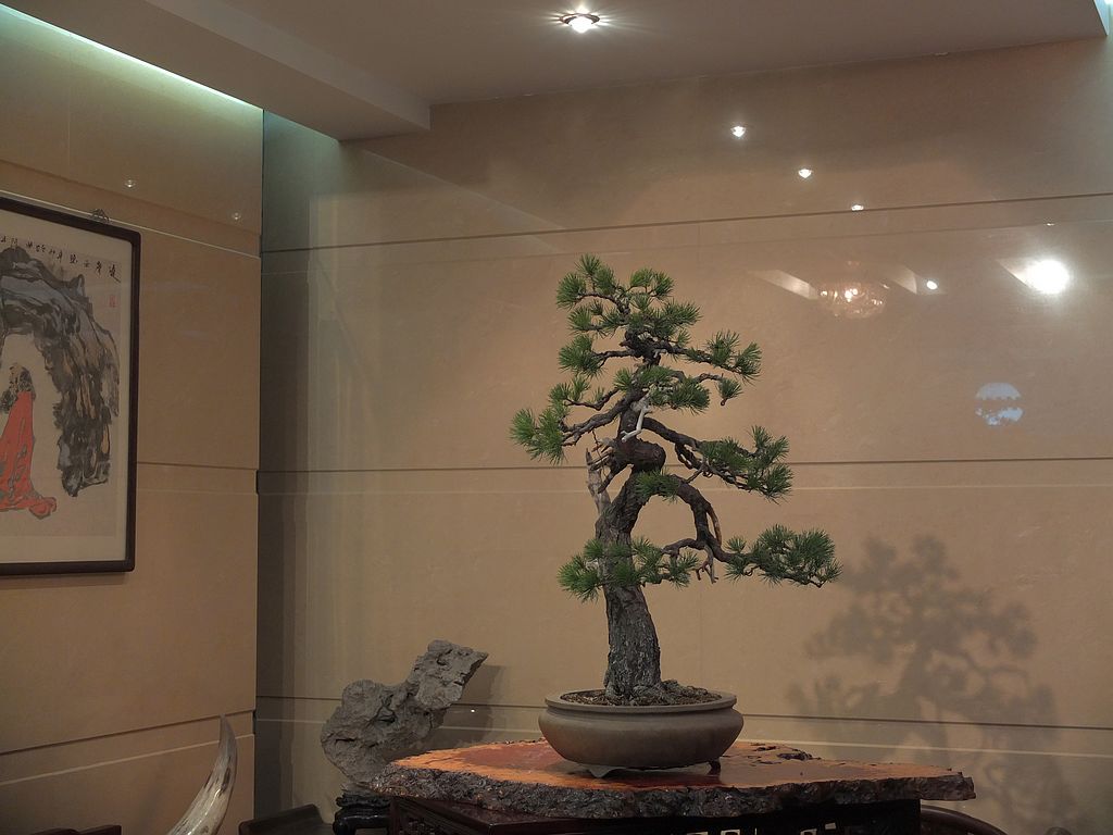 DSCF9570.jpg