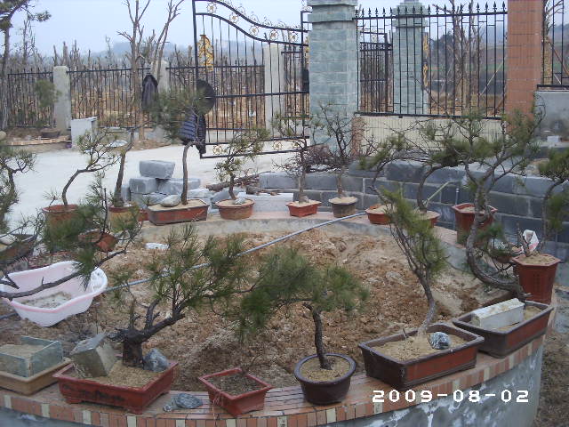 PHOT0163.JPG