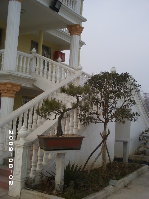 PHOT0165.JPG