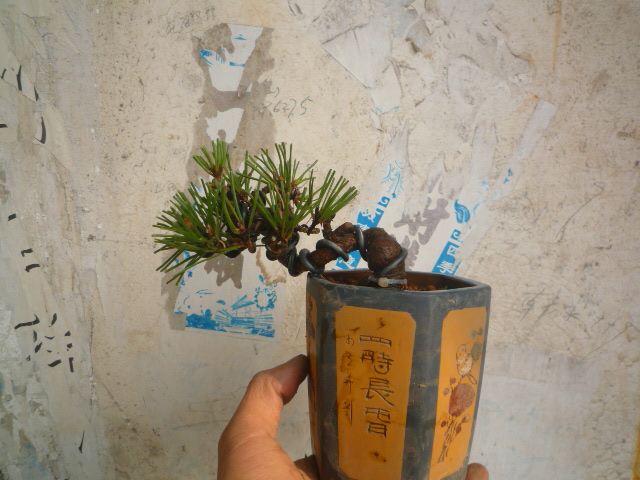 P1070742.JPG