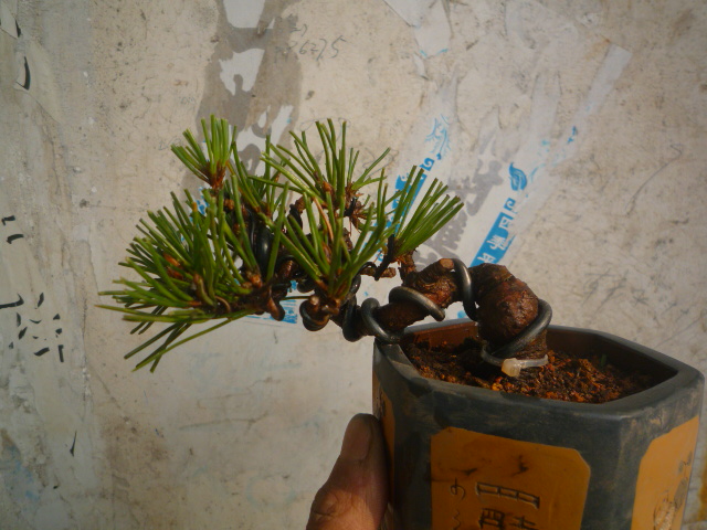 P1070738.JPG
