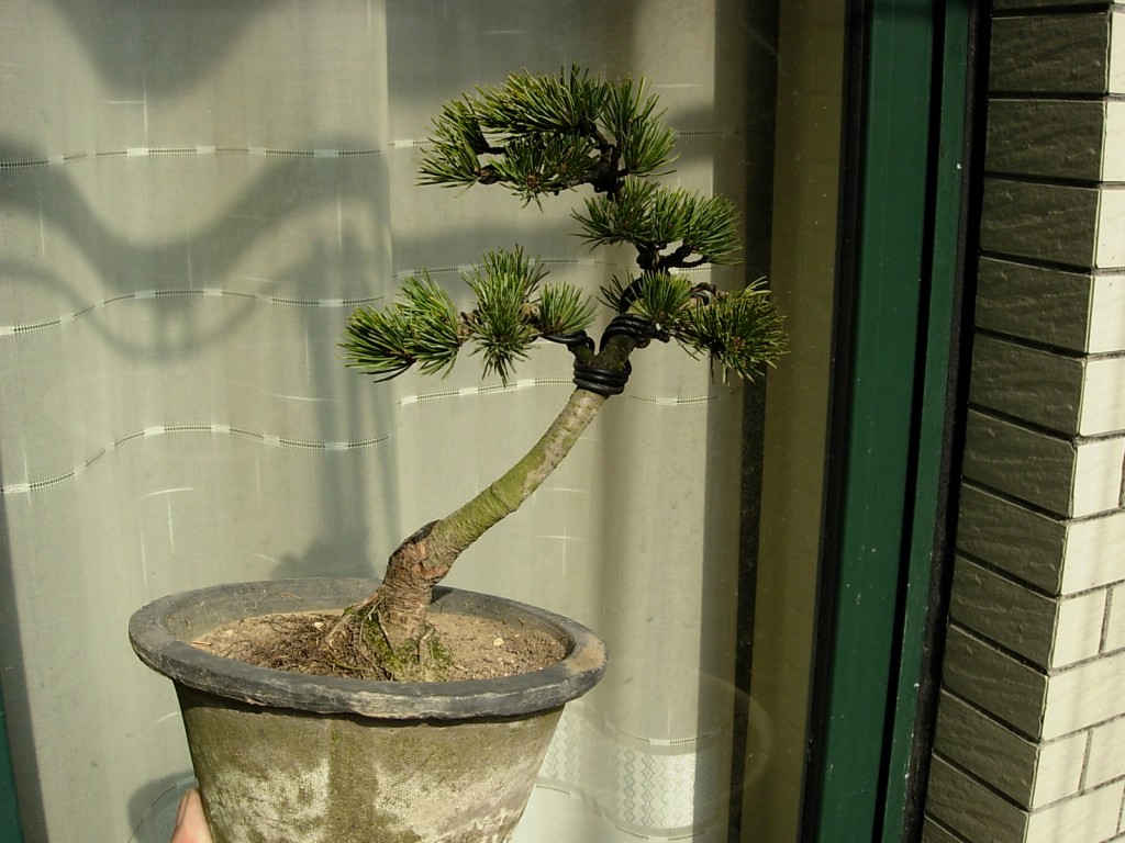 conew_dscn8906.jpg