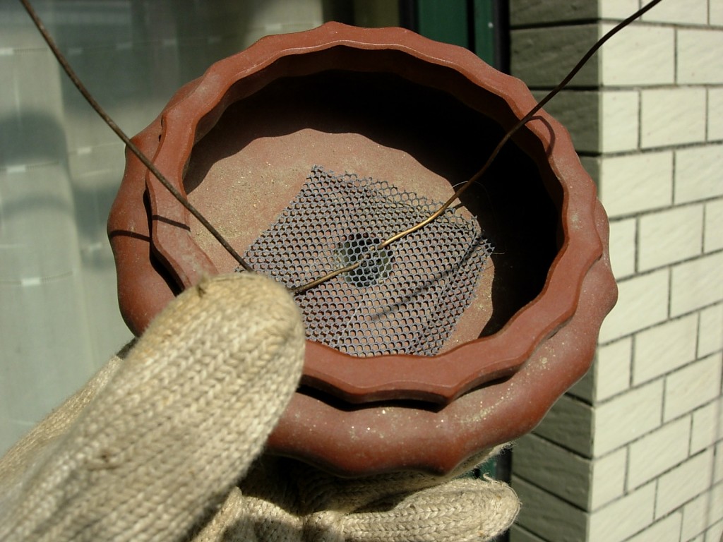 conew_dscn8913.jpg