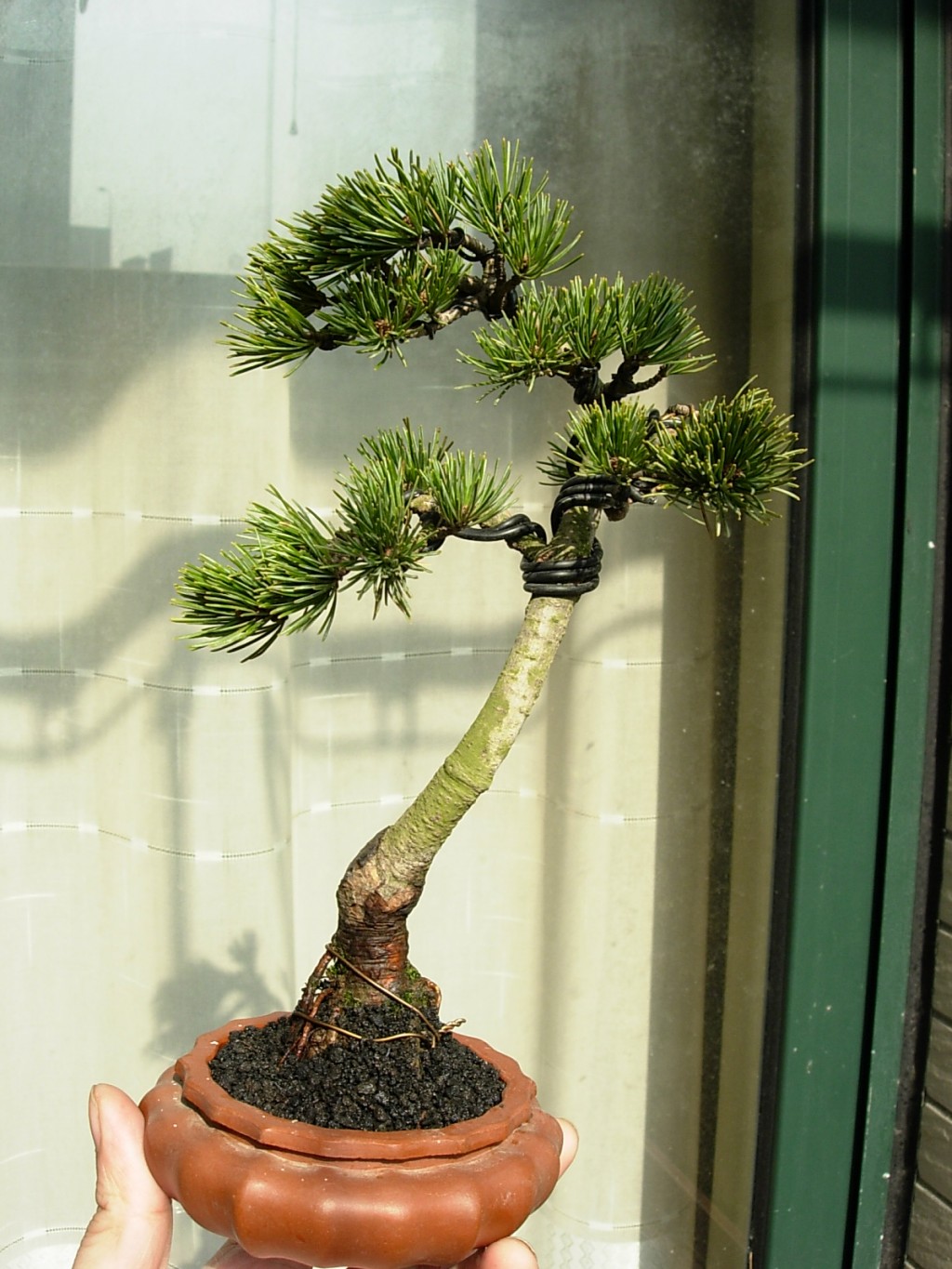 conew_dscn8926.jpg