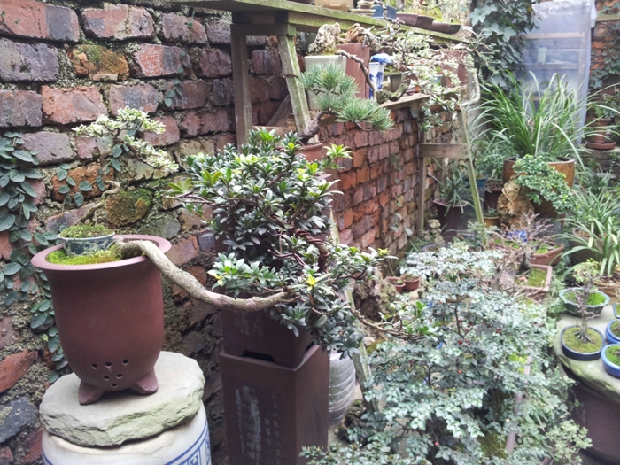 20130202_140953.jpg