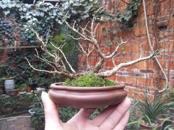 20130202_140115.jpg