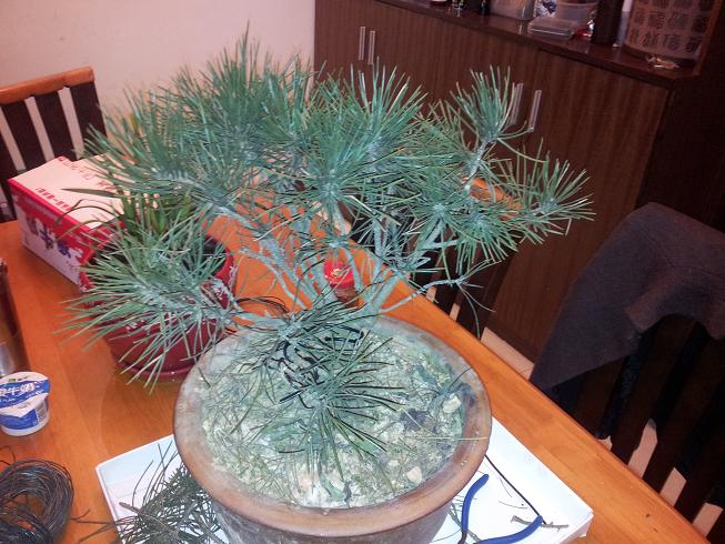 20130203_200213.jpg