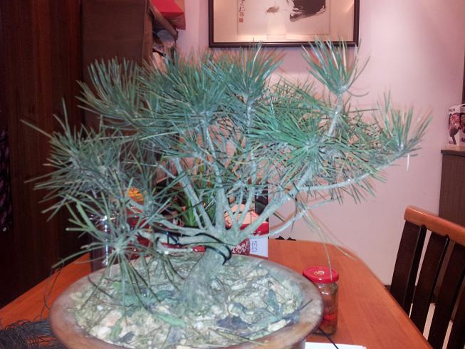 20130203_200219.jpg