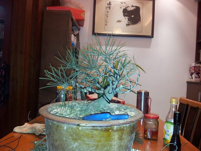20130203_205527.jpg