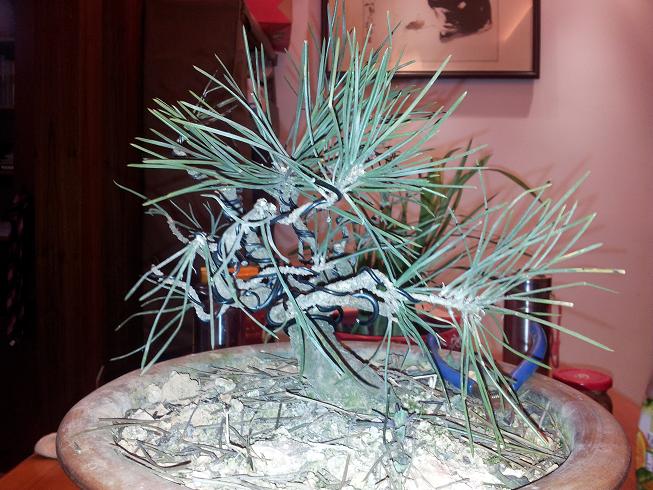 20130203_205624.jpg