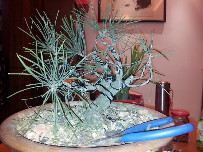 20130203_205631.jpg