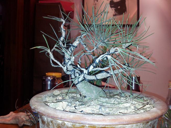 20130203_210510.jpg