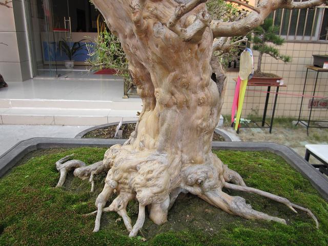 ղʯ֮һ 713.jpg