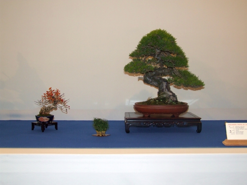 Noelanders Trophy XIII 2012 40f.jpg