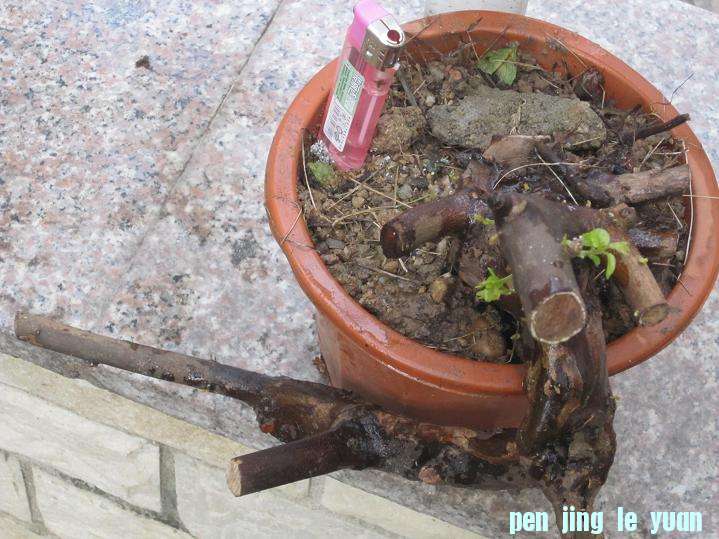 2011.10Ƭ 185.jpg
