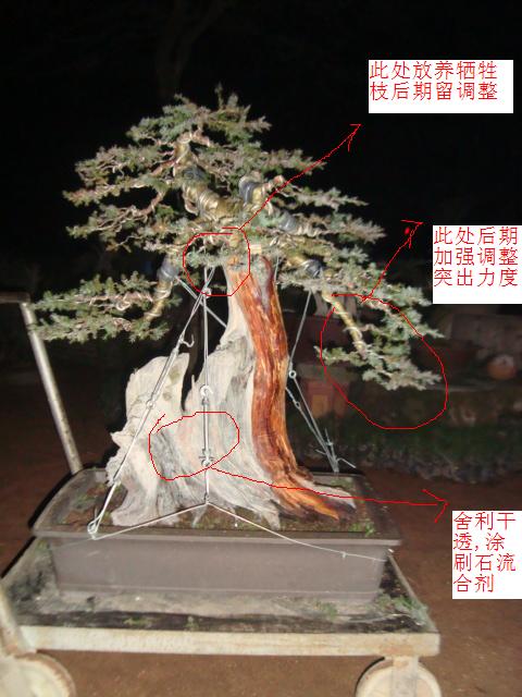 DSC06315.JPG