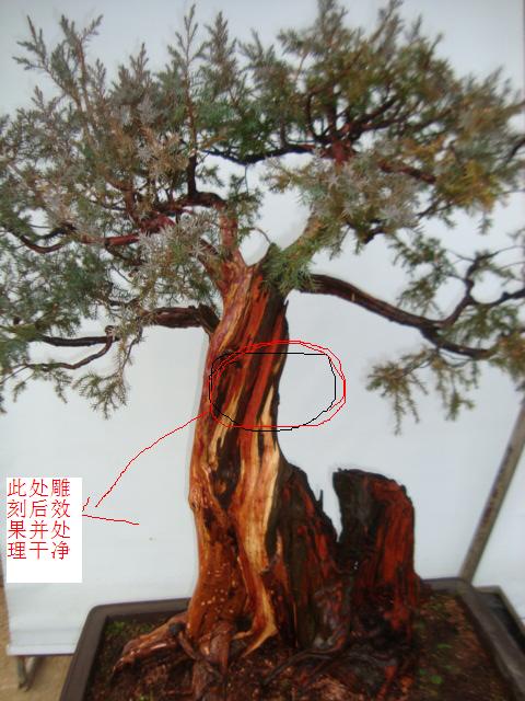 DSC06302.JPG