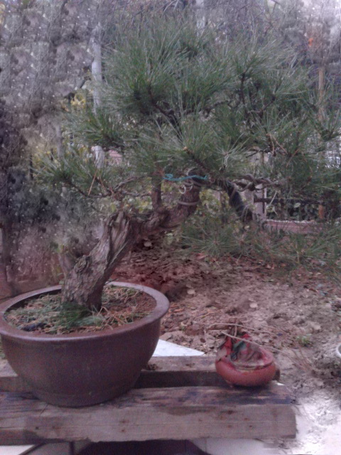 20130207_072456.jpg