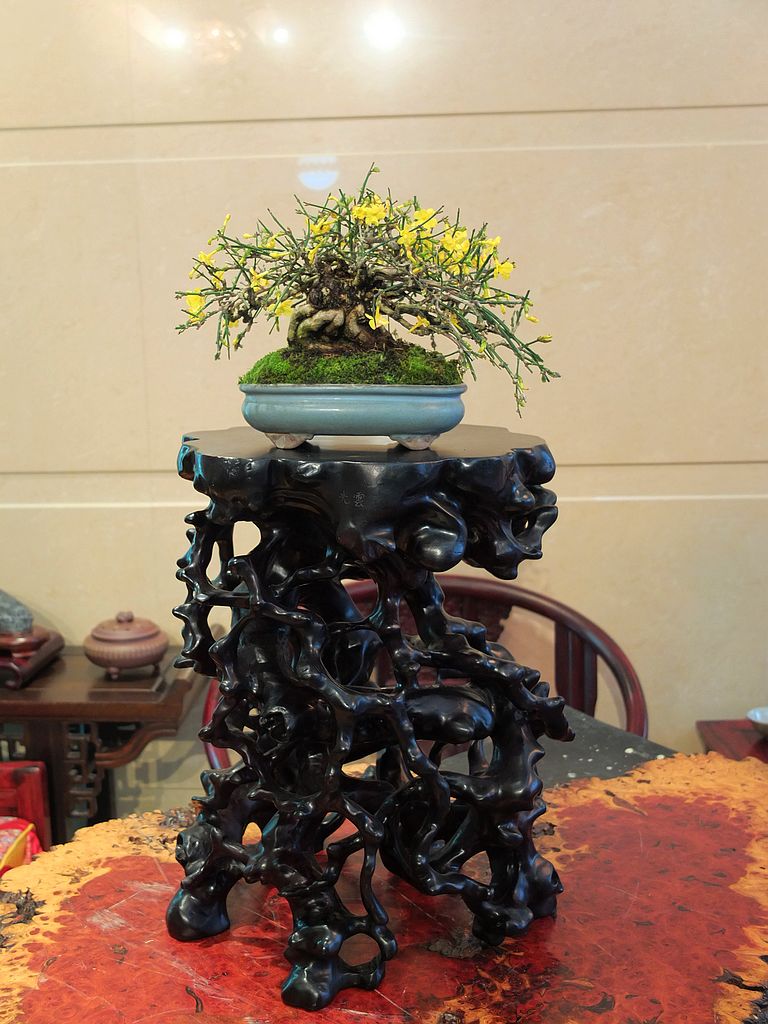 DSCF9894.jpg